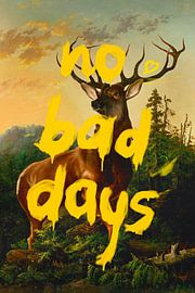 No Bad Days by Jonas Loose