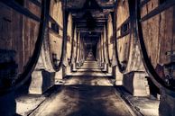 authentic wine cellar with old wine barrels by eric van der eijk thumbnail