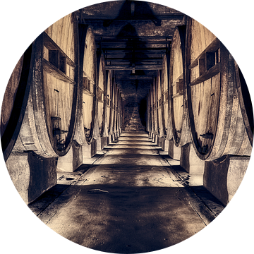 authentieke wijnkelder met oude wijnvaten van eric van der eijk