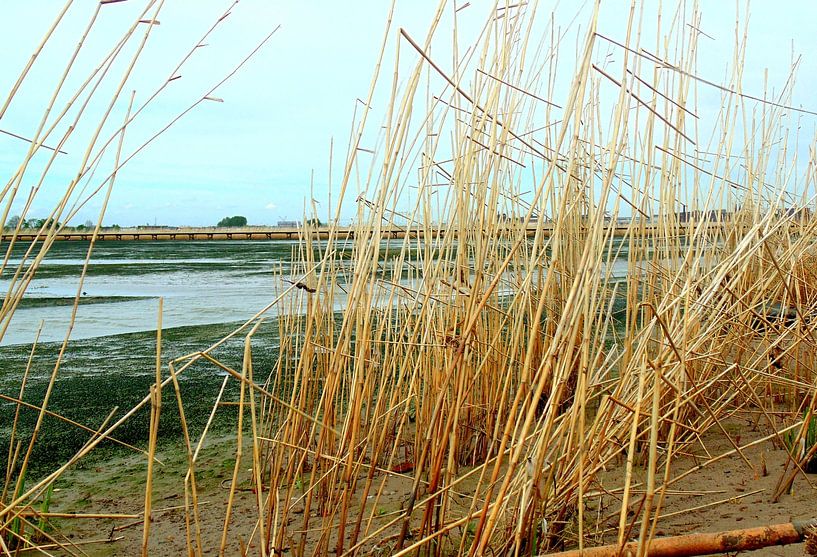 View par Koos Iperen