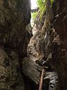 Rappenlochschlucht, Dornbirn, Österreich von Rinke Velds Miniaturansicht