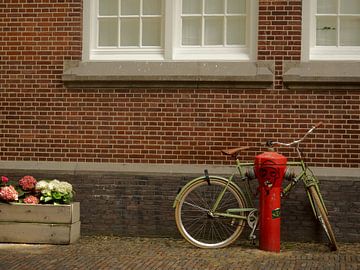 Bike against fire hydrant by Jelco Heringa