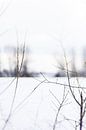Winter wonderland | Linschoten | Pastel by Gabry Zijlstra thumbnail