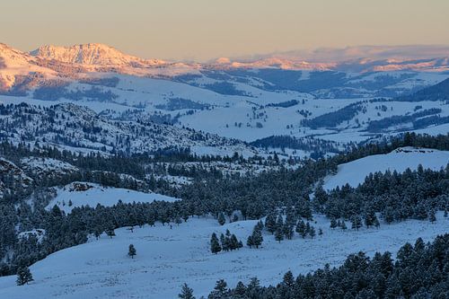 Yellowstone im Winter, Abenddämmerung
