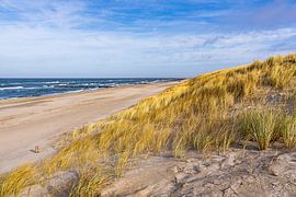 Beach and dunes on the Baltic Sea coast near Graal by Rico Ködder