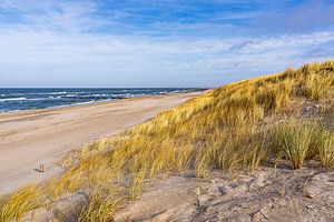 Strand und Düne an der Küste der Ostsee in der Nähe von Graal