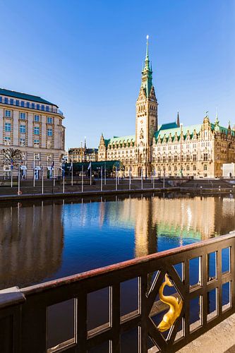 Kleine Alster en het stadhuis in Hamburg