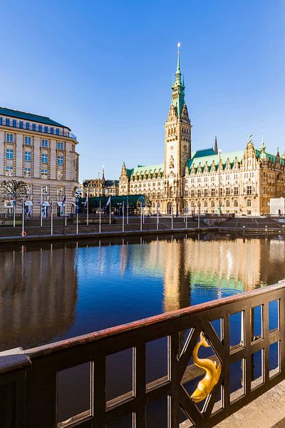 Kleine Alster und das Rathaus in Hamburg von Werner Dieterich
