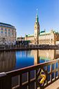 Kleine Alster und das Rathaus in Hamburg von Werner Dieterich Miniaturansicht