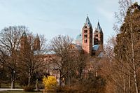 Dom van Speyer. Een van de drie Kaiserdome langs de Rijn