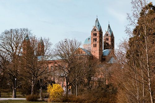 Dom zu Speyer. Einer der drei Kaiserdome entlang des Rheins