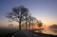 Foggy morning by Mark Leeman thumbnail