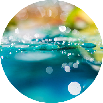 Water van angelique van Riet