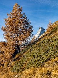 Matterhorn near Zermatt by Martin Opladen