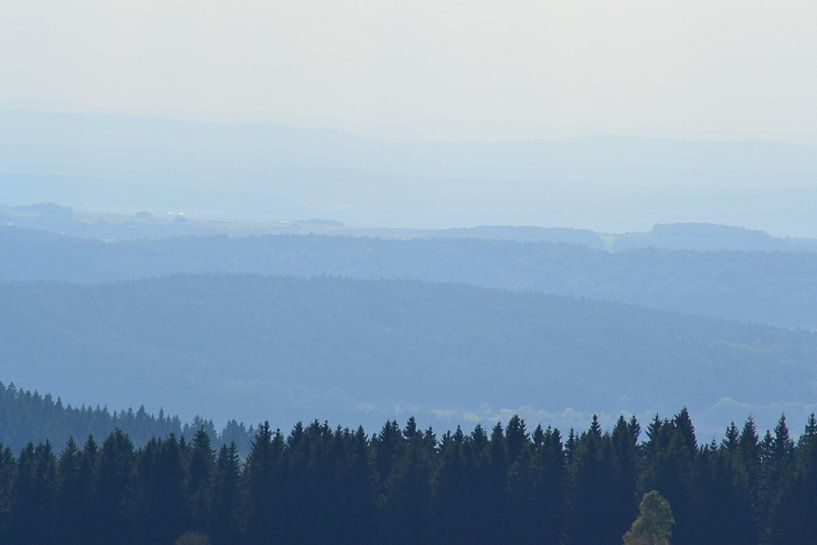 Thuringerwald par Theo van der Meer