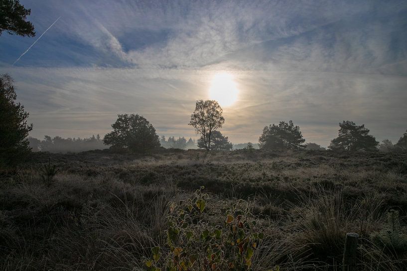 Morning dawn by Ton Tolboom