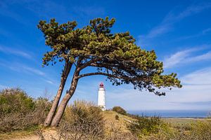 Der Leuchtturm Dornbusch auf der Insel Hiddensee