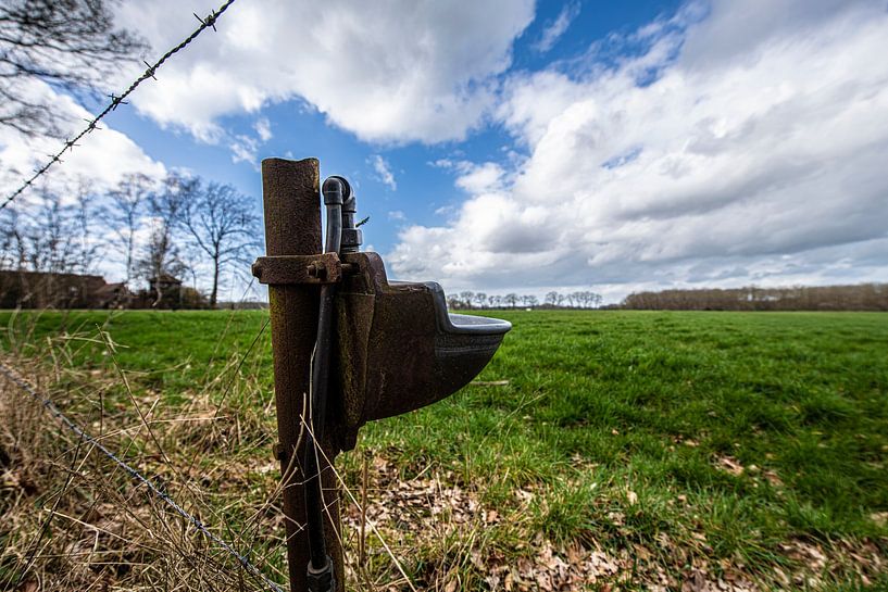 Farmland by Brian Morgan