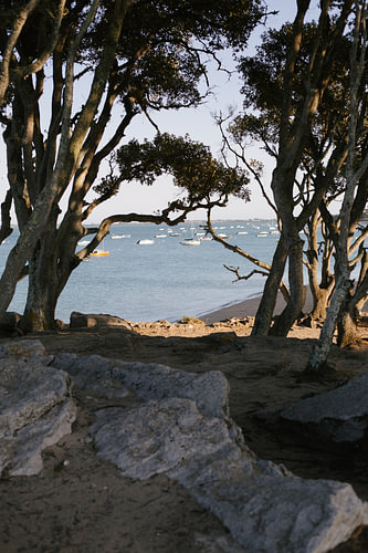 Havre Plage des Dames