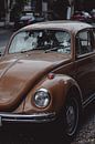 VW Beetle Car van David Potter thumbnail