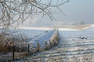 Winter in de polder van Loes Jansen thumbnail