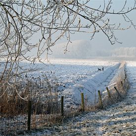 Winter in de polder von Loes Jansen