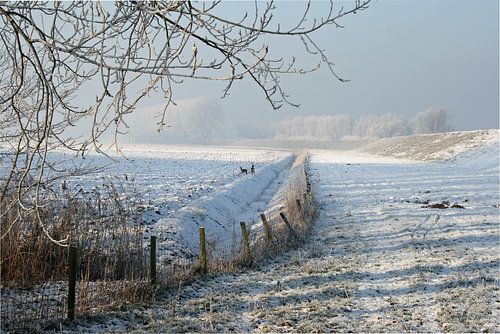 Winter in de polder