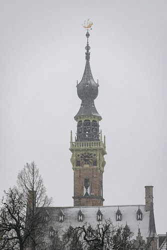 Toren stadshuis Veere in de sneeuw