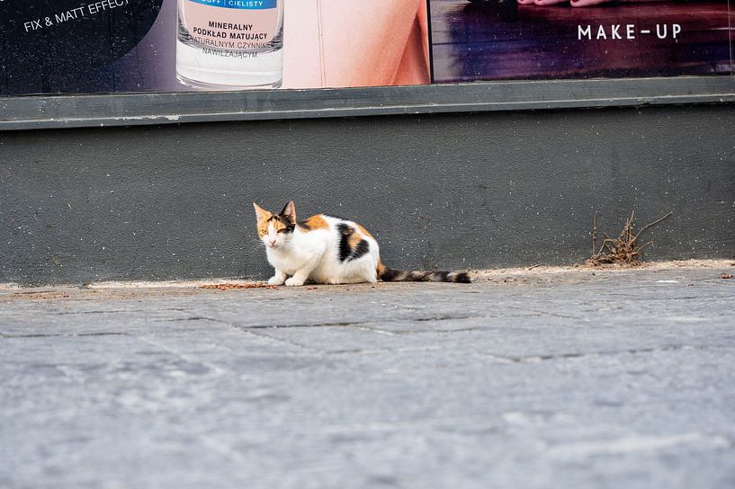 Gelassenheit in der Altstadt von Karsten Rahn