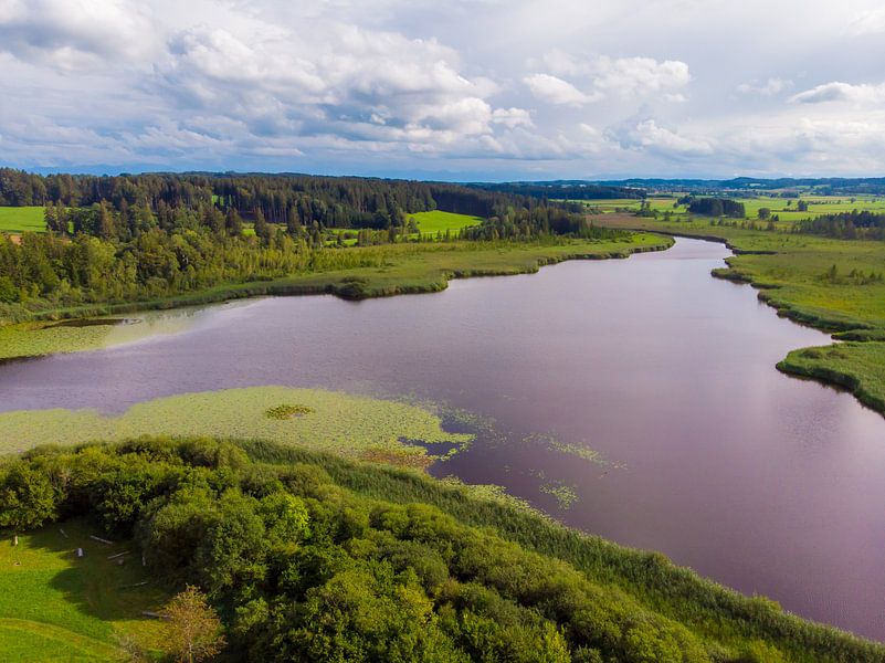 Aerial view of Maisinger See with meadows and forests by Hans-Heinrich Runge