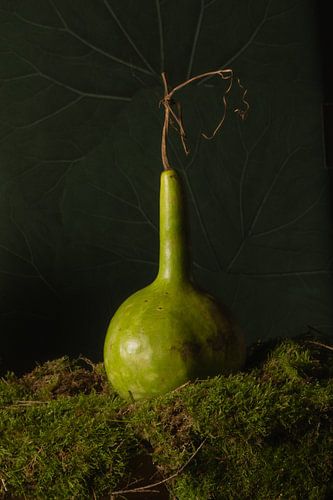 Stilleven pompoen op mos