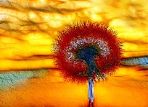 Loony Löwenzahn (Pretty Dandelion)