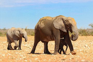 Olifanten familie in Etosha van Marieke Funke