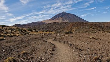 Kronkelend wandelpad naar El Teide van Kristof Lauwers