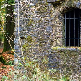 Ruine dans la forêt sur Thomas Riess