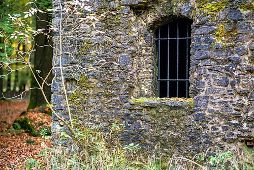 Ruine dans la forêt