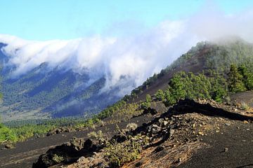 Volcano Caldera de Taburiente on La Palma by Jolanta Mayerberg
