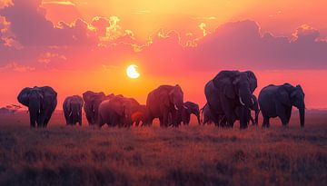 Herd of elephants at a pink sunset panorama by TheXclusive Art