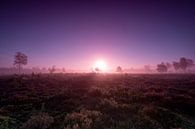 Kleurrijke zonsopkomst aan horizon van heidelandschap van Maarten Zeehandelaar thumbnail