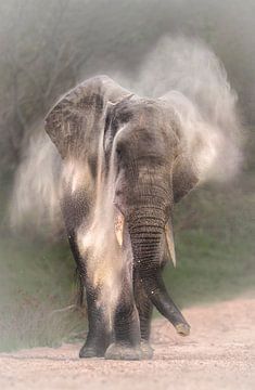 Elephant takes sand bath by Larissa Rand