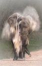 Elephant takes sand bath by Larissa Rand thumbnail
