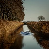 Herbstliche Stimmung in Flevoland
