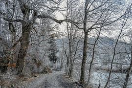 Hiking trail along the Danube near Fridingen - Upper Danube Nature Park by BlattArt - Christine Horn