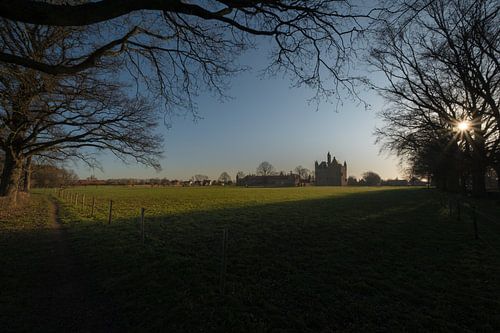 Middeleeuws Kasteel Doornenburg