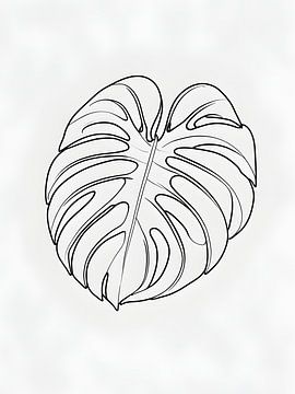 esquisse botanique sur Giandra Safaraz