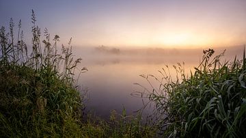 Good morning in the Harz by Steffen Henze