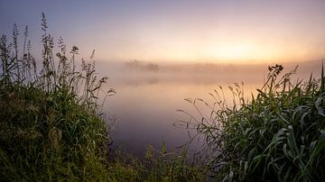 Good morning in the Harz von Steffen Henze