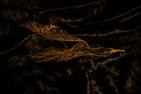 two skeleton leaves on velvet background