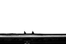 574. JUST THE TWO OF US by Rogier Reker