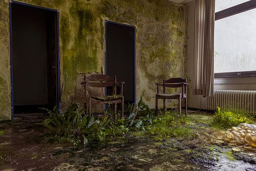 Stoel der overname natuur.